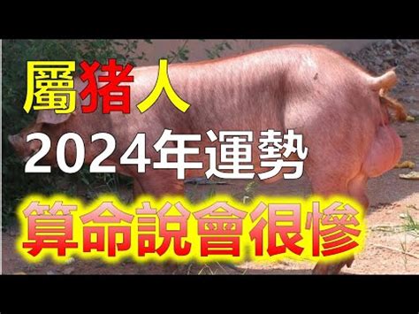 2024年 豬|屬豬出生年份+2024今年幾多歲？屬豬性格特徵+最新。